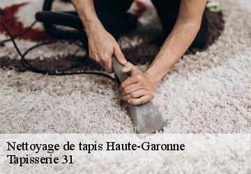 Nettoyage de tapis 31 Haute-Garonne Tapisserie 31