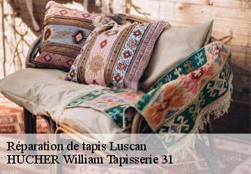 Réparation de tapis  luscan-31510 HUCHER William Tapisserie 31