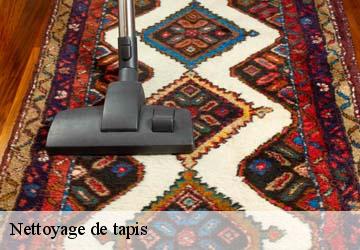Nettoyage de tapis  pradere-les-bourguets-31530 HUCHER William Tapisserie 31
