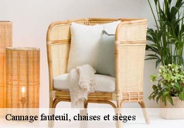 Cannage fauteuil, chaises et sièges  boulogne-sur-gesse-31350 HUCHER William Tapisserie 31