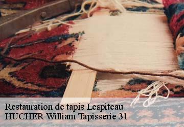 Restauration de tapis  lespiteau-31160 HUCHER William Tapisserie 31