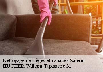 Nettoyage de sièges et canapés  salerm-31230 HUCHER William Tapisserie 31